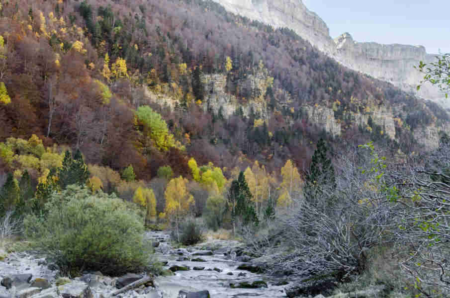 Huesca - parque nacional de Ordesa y Monte Perdido - valle de Ordesa 125 - rio Arazas.jpg